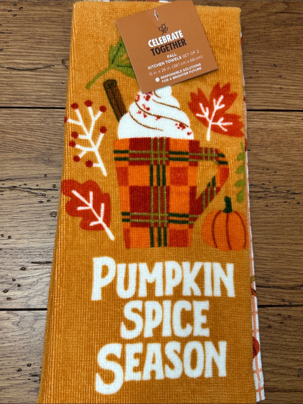 Celebrate Together Pumpkin Spice Kitchen Towels set of 2 - Orange and White